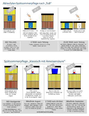 Vorschau 'Teilen & behandeln vs. Klassisch mit Ameisensäure'