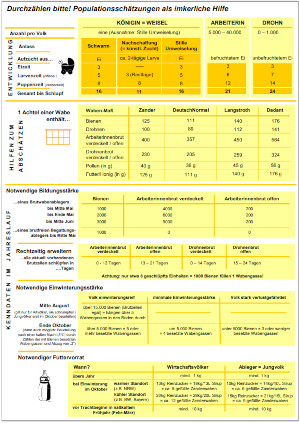 Vorschau 'Durchzählen bitte! Populationsschätzungen als imkerliche Hilfe'